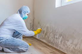 Forensic Mold Investigation in Beeville, TX